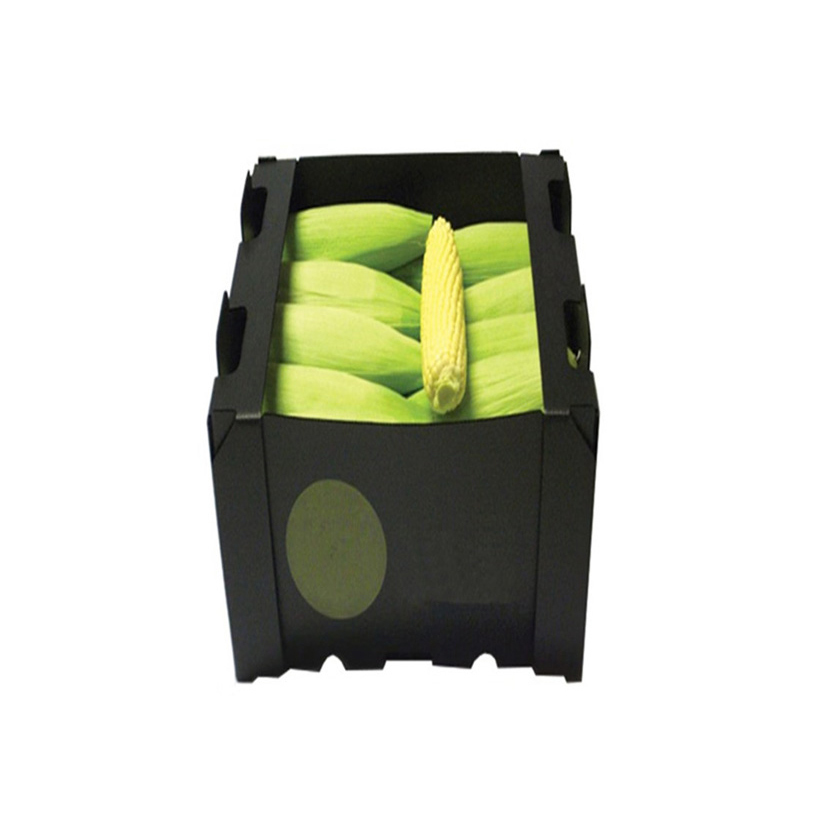 Pp Corrugated Fruit Box