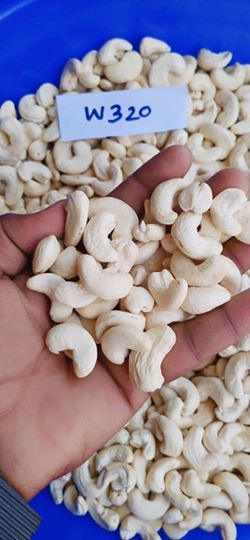 Top Quality Grade Of 2020 Seasons Of Processed Cashew Kernel For Sale