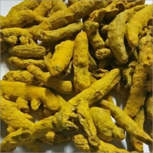 Curcuma Turmeric Finger - Organic Food Grade, Polished Form, 25 Kg Packet | Yellow Color, Dried Raw Form, Ideal for Food & Cosmetics