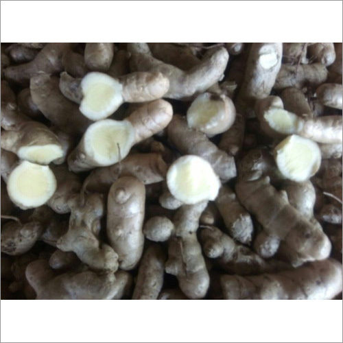 ताजी सफेद हल्दी