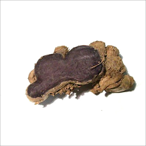Fresh Black Ginger Grade: Herbal Grade