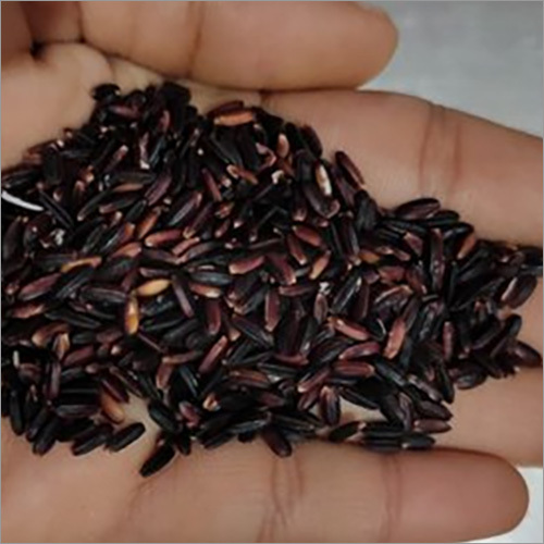 Fresh Black Rice - Organic Black Rice, 5kg PP Bag | Hard Texture, Anthocyanins Rich, 335 Calories, 83% Carbohydrates, 11% Protein