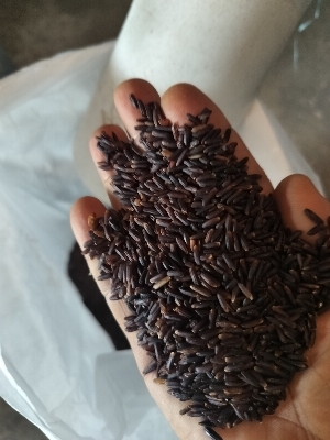 त्रिफला चूर्ण