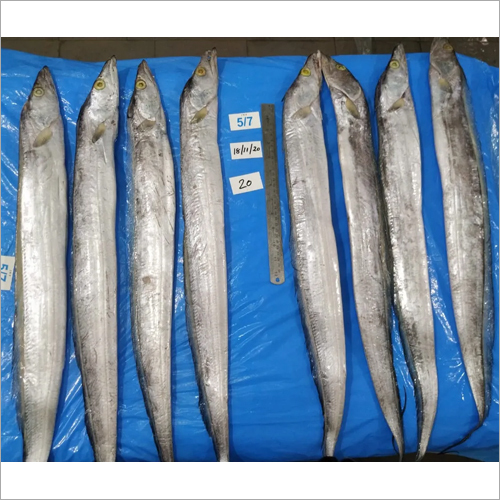 Horse Mackerel - 200g-500g Skinless Boneless Fillet | Vacuum Pack, Frozen Preservation, Flattened Shape, 12 Months Shelf Life