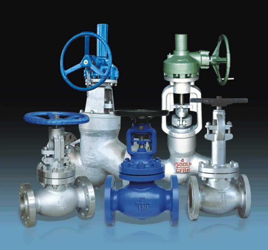 Globe Valve Application: Steam