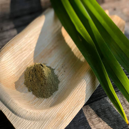 प्राकृतिक पांडन लीव्स पाउडर एक्सट्रेक्ट ड्राई प्लेस