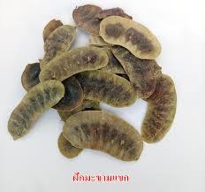 Dried Sennos Dicesdried Whole Natural Product Of Thailand