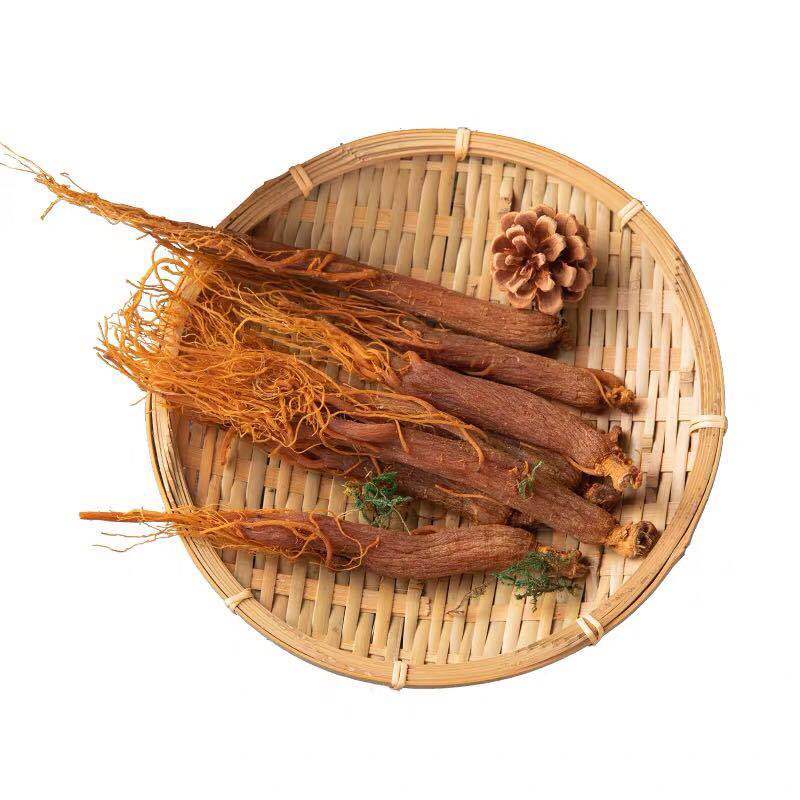 Red Ginseng Root/panax Ginseng Root Low Pesticides Bulk Price