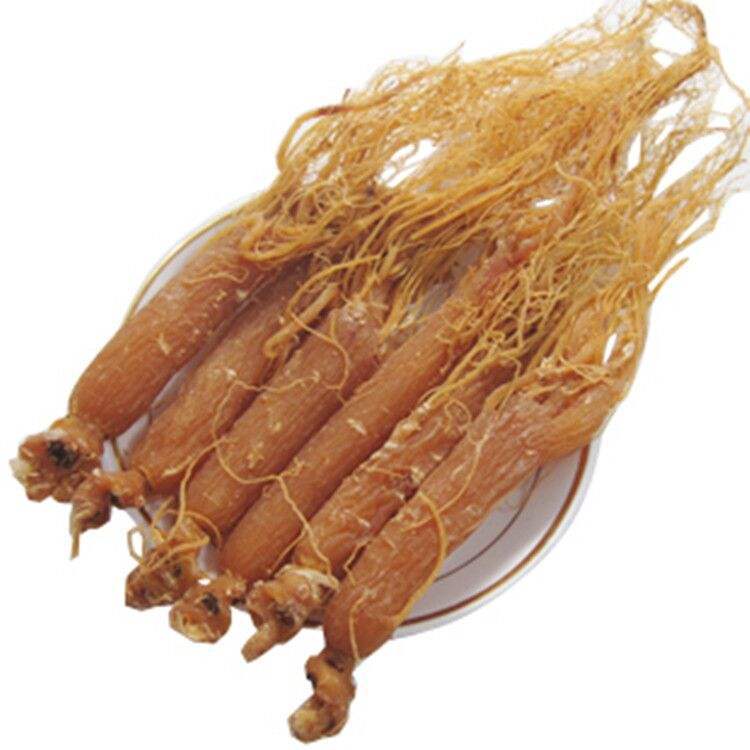 Red Ginseng Root/panax Ginseng Root Low Pesticides Bulk Price