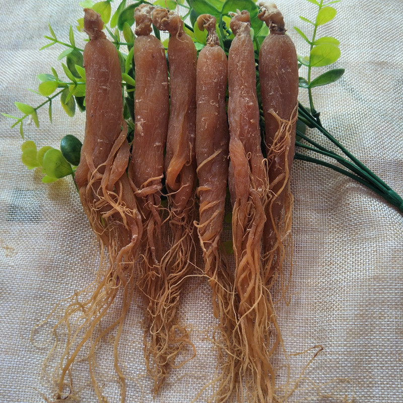 Red Ginseng Root/panax Ginseng Root Low Pesticides Bulk Price