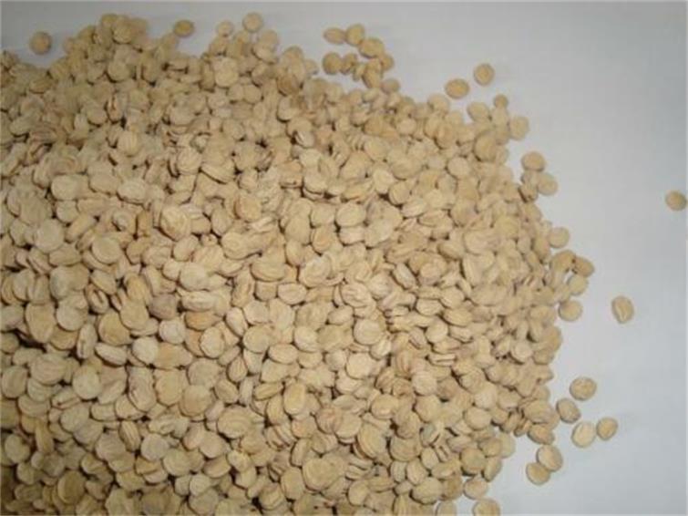Ren Shen Zi 200g Per Bag Panax Ginseng Seeds For Planting