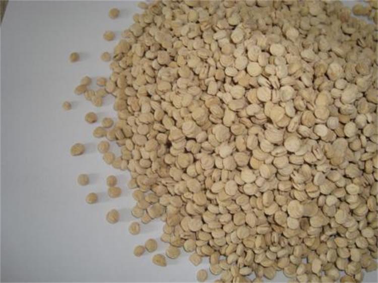 Ren Shen Zi 200g Per Bag Panax Ginseng Seeds For Planting