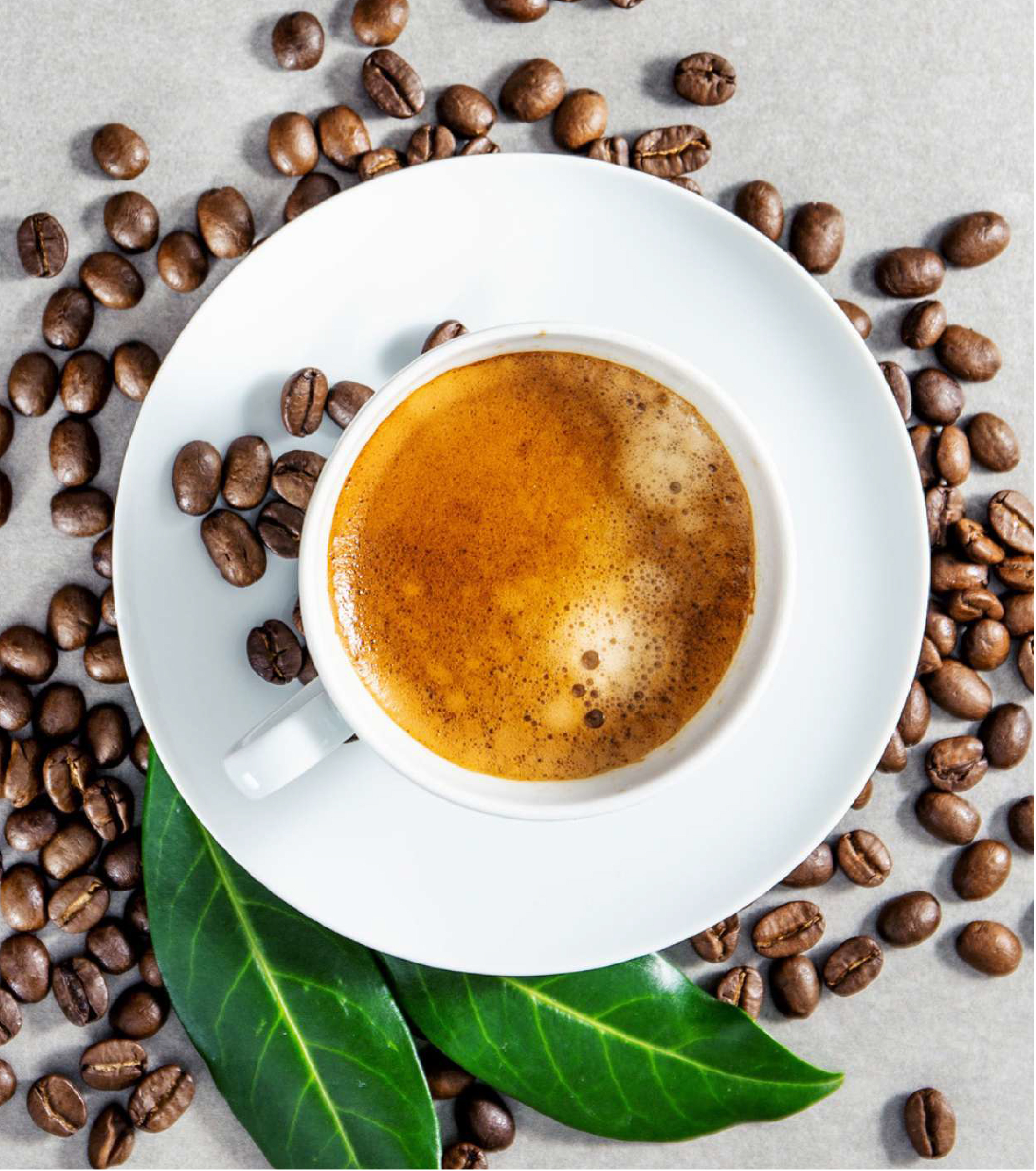 Common Premixes Cofee - Diabec Coffee