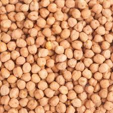 Cream White Dried Chickpeas