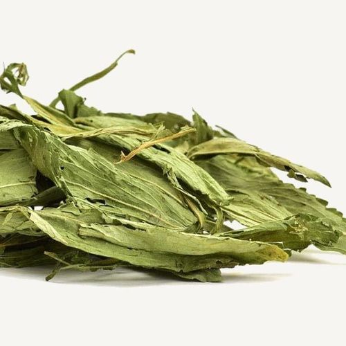 100% प्राकृतिक पत्ती वाली नई हर्बल ड्राइड स्टीविया की पत्तियां