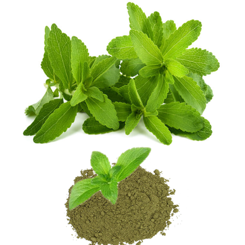 100% शुद्ध प्राकृतिक थोक आहार अनुपूरक ग्रीन स्टीविया पाउडर सूखी जगह