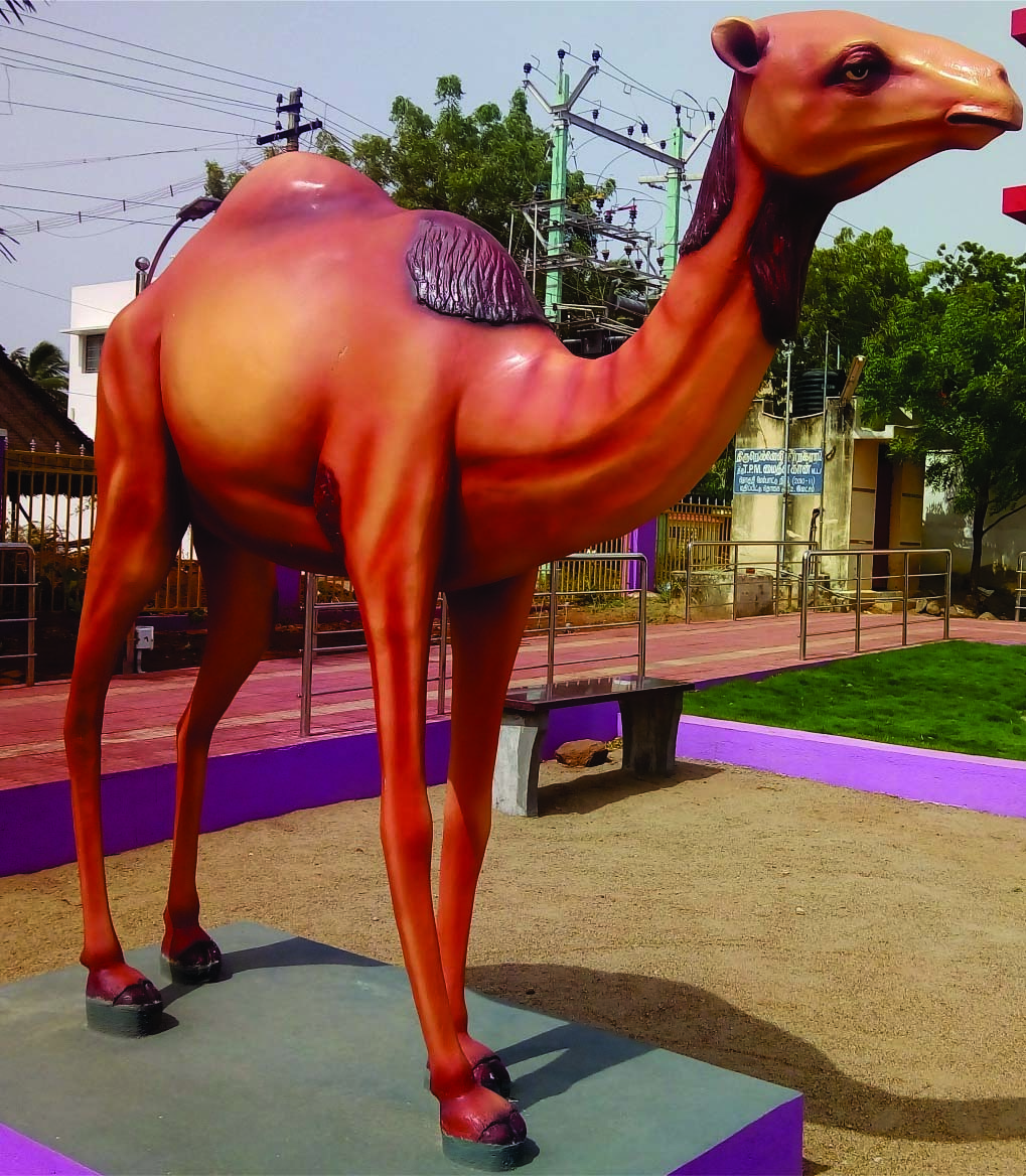 Park Statues