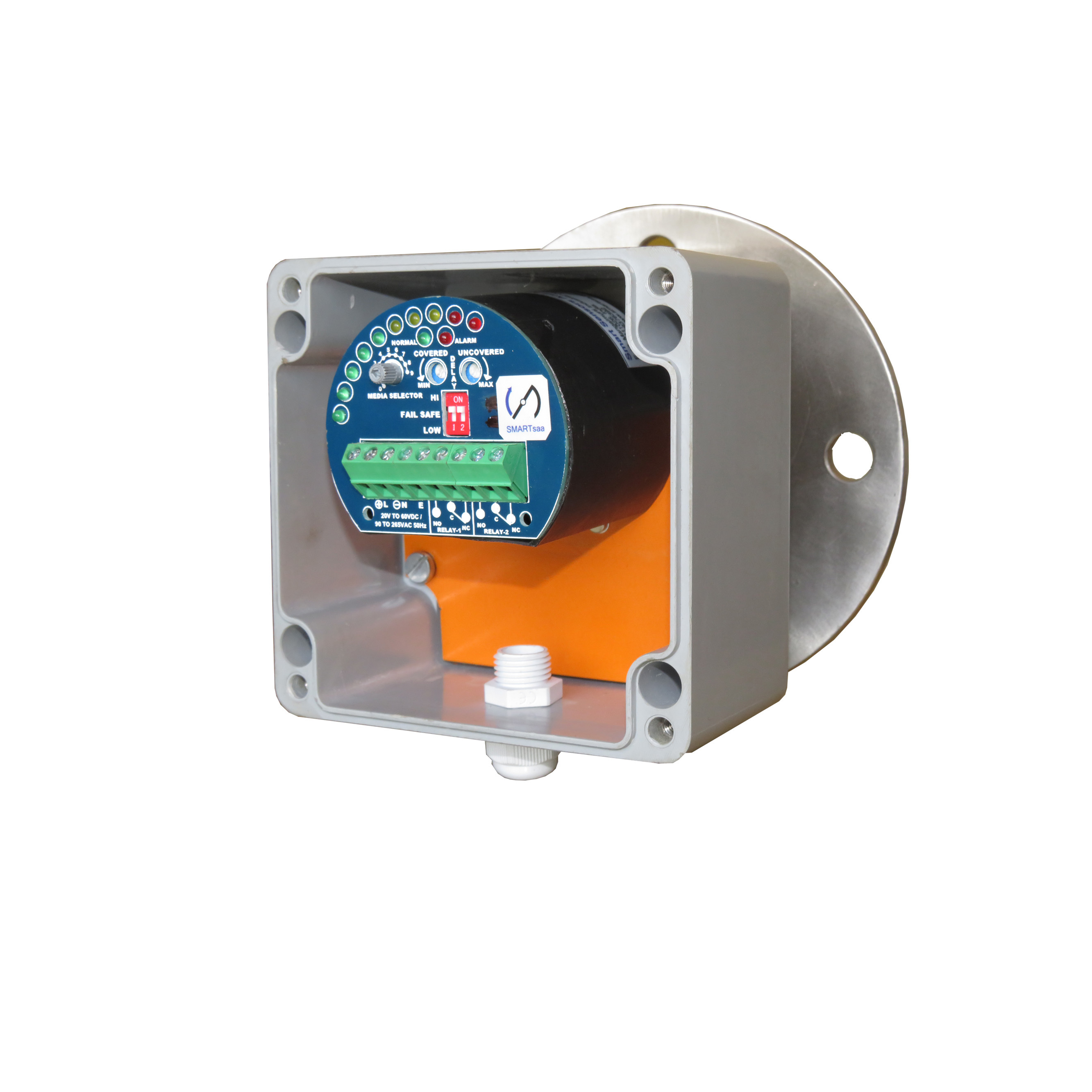 Chute Block Level Switch - Rf Admittance Type, 230v Voltage, Blue & Gray Color | Chute Blog / Chute Plug Detection, Suitable For Solid And Semi-solid Materials