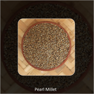 Pearl Millets