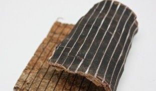 Natural Whole Dried Tao Tong