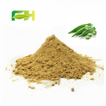 Okra Extract Powder - 4:1, 5:1, 10:1, 20:1 | Rich In Nutrients, Promotes Digestion, Supports Skin Health