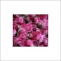 गुलाब का तेल