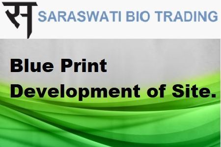 साइट का ब्लू प्रिंट डेवलपमेंट.