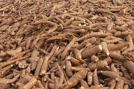 Cassava Pellet - High Starch Content | Hard Pellets For Animal Feed, Ideal Storage In Dry Place