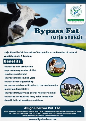 Bypass Fat