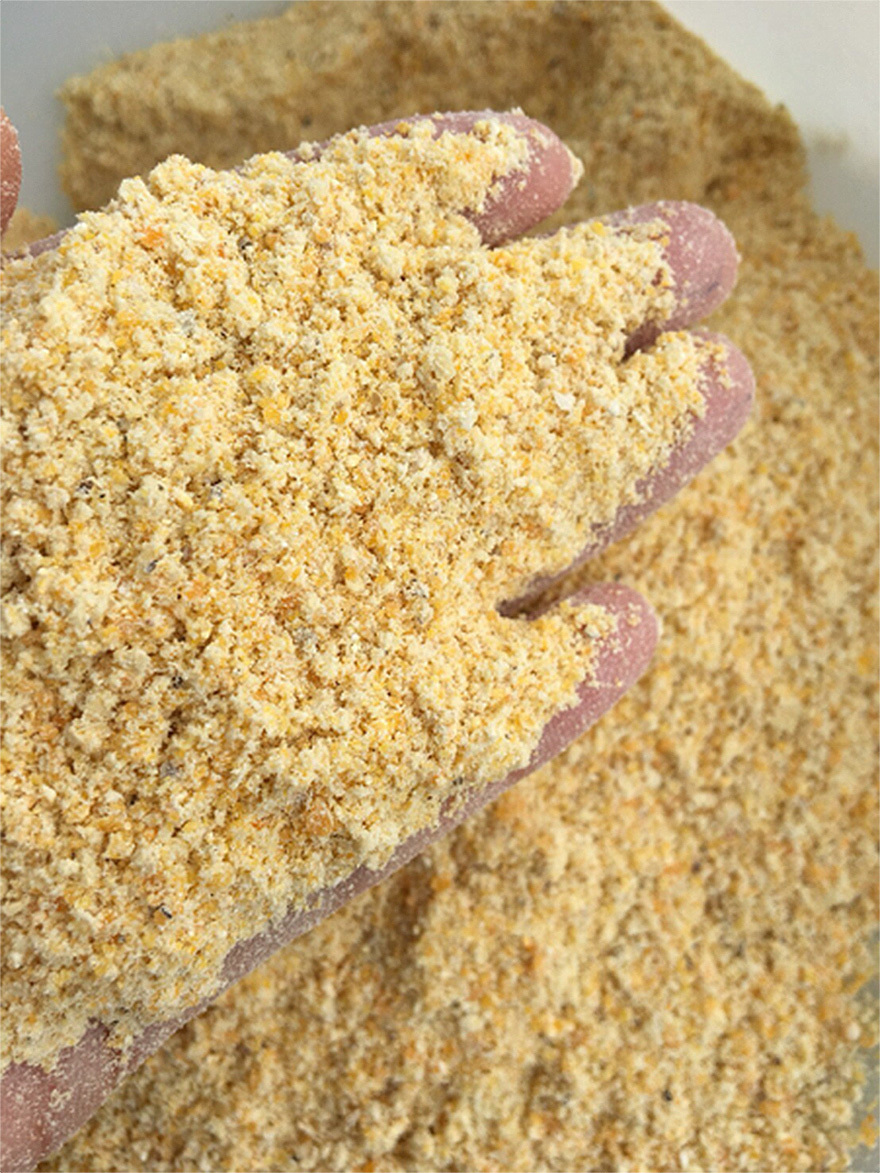 Yellow Corn Crush Raw Corn Dry Place