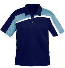 Corporate Polo T Shirt - Cotton Fabric, Short Sleeves , Polo Collar With Embroidered Detailing For Male Professionals