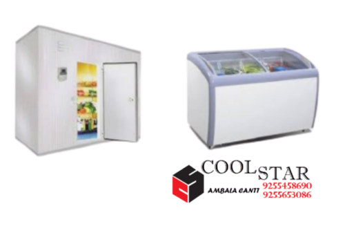 Deep Freezer - Stainless Steel, 1000 x 800 x 2000 mm | Rotary Compressor, Energy Efficient, Large Capacity, Temperature Control, 55 dB Noise Level