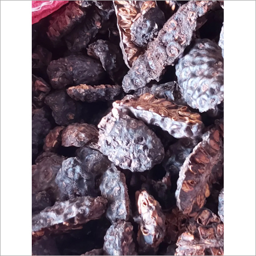 सूखा नोनी