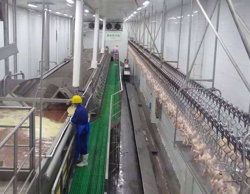 Stainless Steel 2000-4000pcs Chicken Slaughter Machine Chicken Goose Slaughter Processing Line