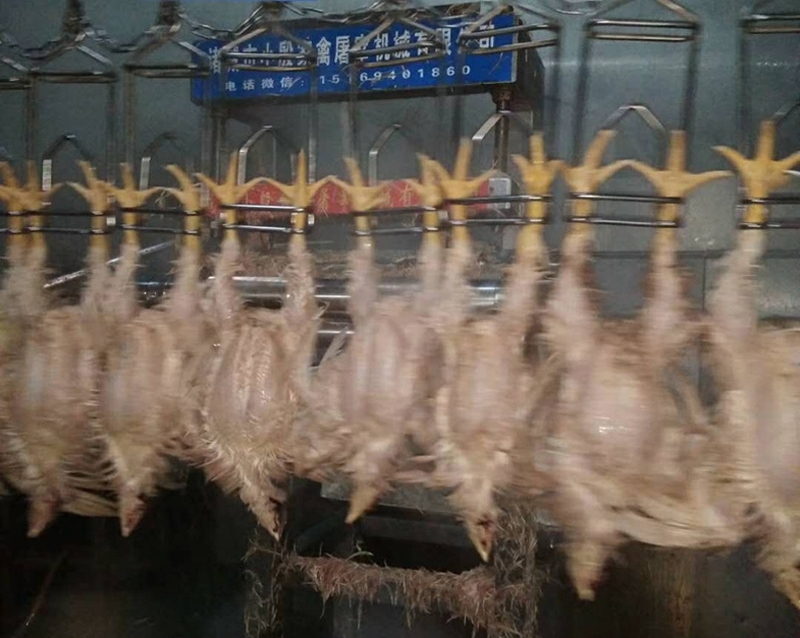 Stainless Steel 2000-4000pcs Chicken Slaughter Machine Chicken Goose Slaughter Processing Line
