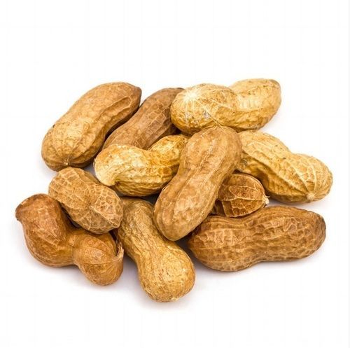 Ground Nuts In Shell