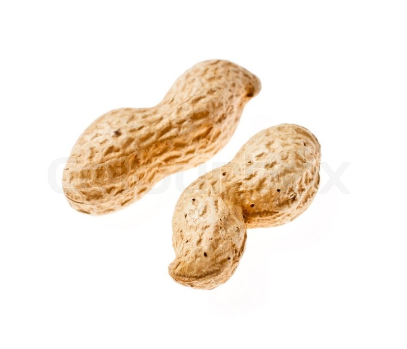 Ground Nuts In Shell