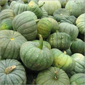 Fresh Pumpkin - Varying Sizes , Green Color, Firm Texture, Round Shape, 5-15 lbs Weight, Locally Sourced, Ideal for Fall