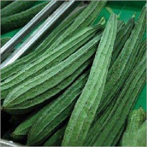 रिड्ज गौर्ड