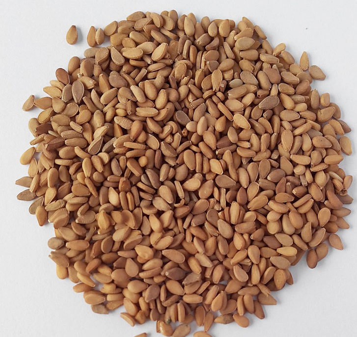 Brown Sesame Seeds - Premium Quality, Rich Nutty Flavor | High Nutritional Value, Ideal For Cooking And Baking