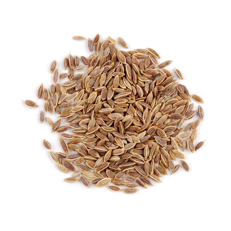 Dill Seeds - Organic Heirloom Variety, High Germination Rate , Premium Quality For Culinary And Medicinal Uses