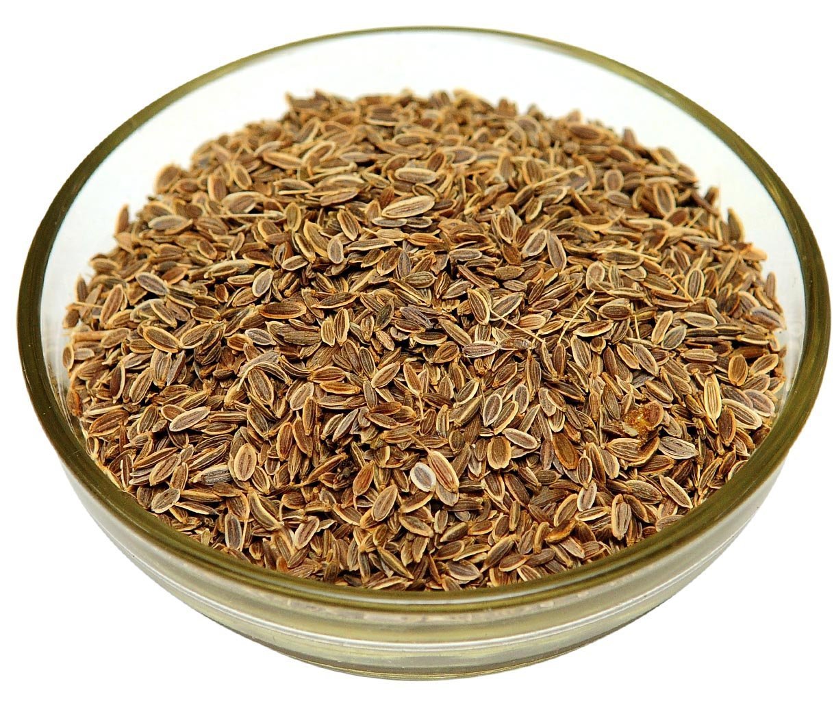 Dill Seeds - Organic Heirloom Variety, High Germination Rate , Premium Quality For Culinary And Medicinal Uses