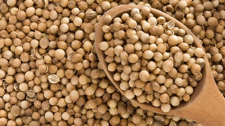 Coriander Seeds