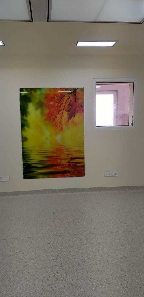 Ppgi Modular Operation Theatre - Color Code: Customized