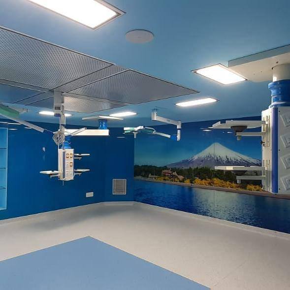 Ppgi Modular Operation Theatre - Color Code: Customized