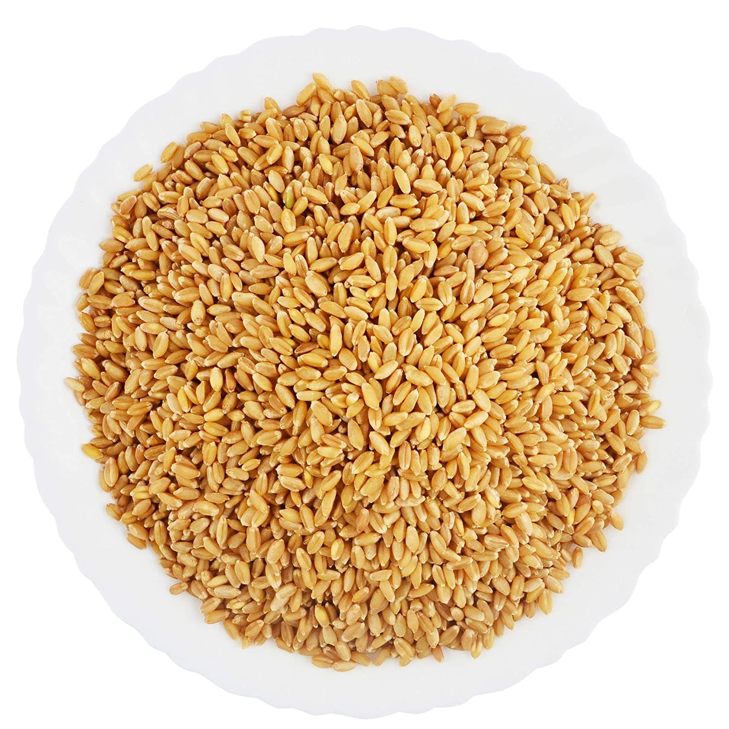 Milling Wheat - Indian Variety, 12% Moisture, 12-14% Protein, Golden Color, <1% Impurities | Bulk/bags For Flour, Bread, Pastry Production