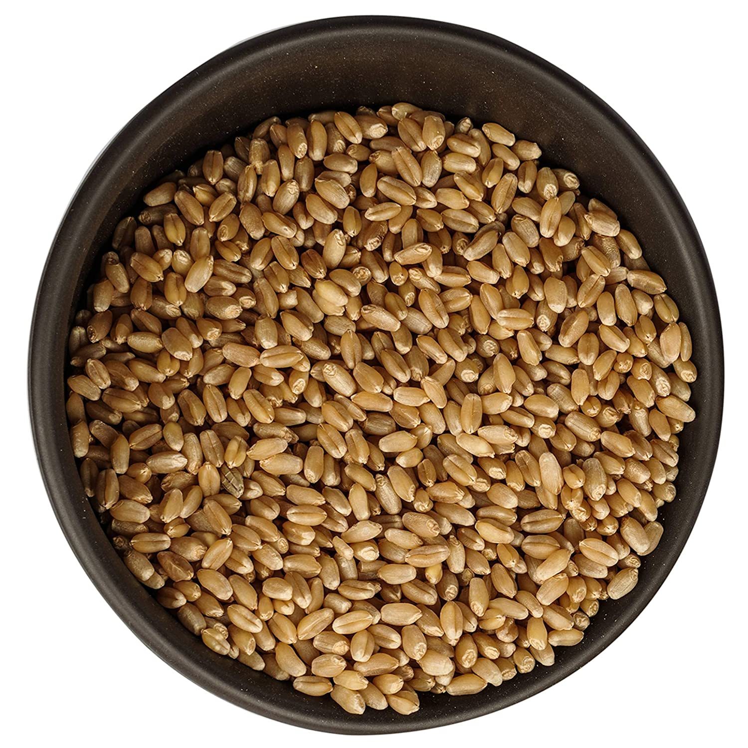 Lokwan Wheat - Fine Quality Grain, Rich In Nutrients And High In Fiber