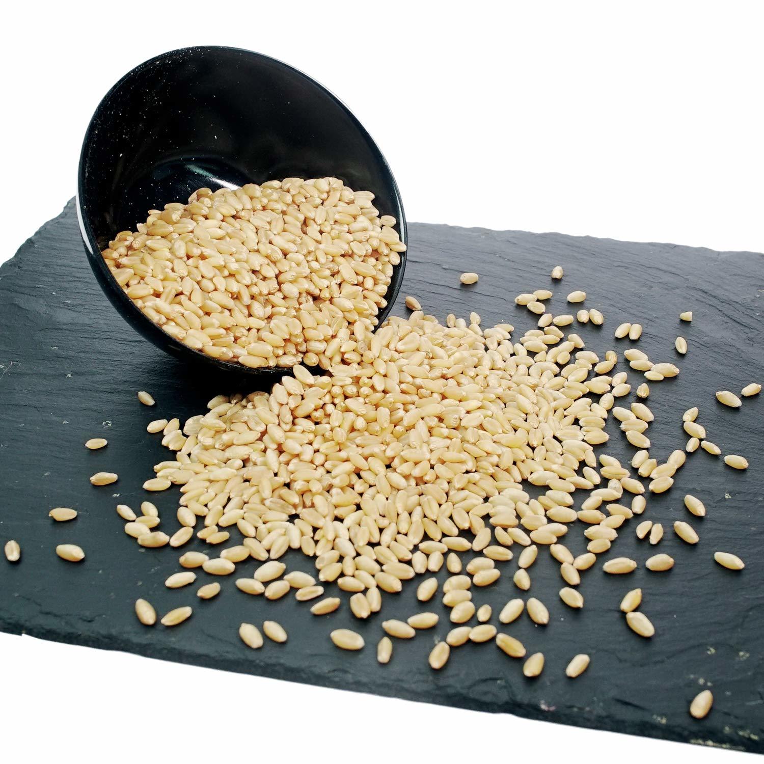 Lokwan Wheat - Fine Quality Grain, Rich In Nutrients And High In Fiber