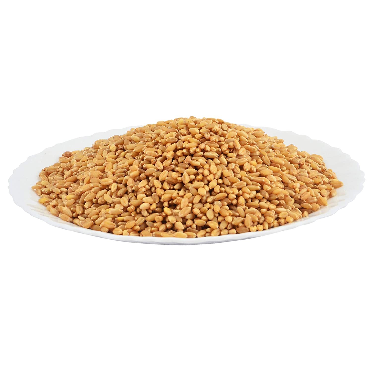 Lokwan Wheat - Fine Quality Grain, Rich In Nutrients And High In Fiber