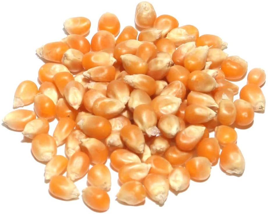 Yellow Maize By Cms Industries